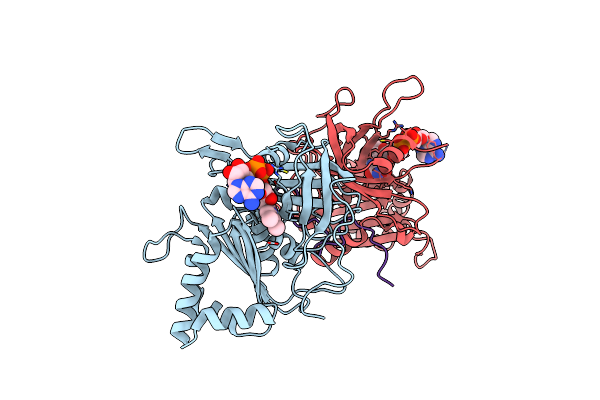 3MHP image