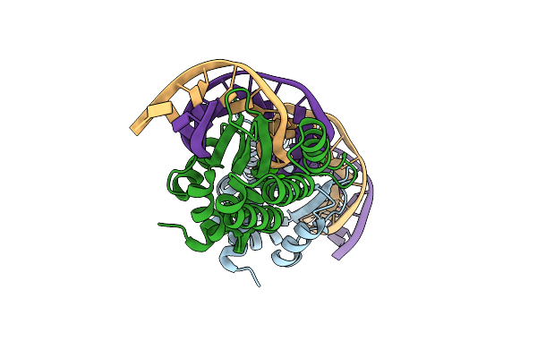 3MIP image