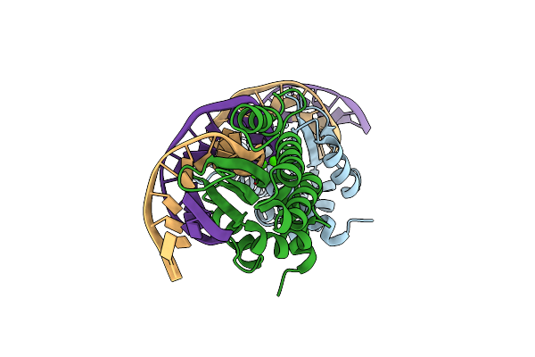 3MIS image