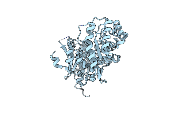 3MKC image