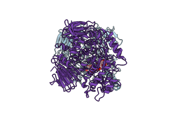 3MKK image