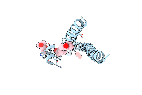 3MKO image