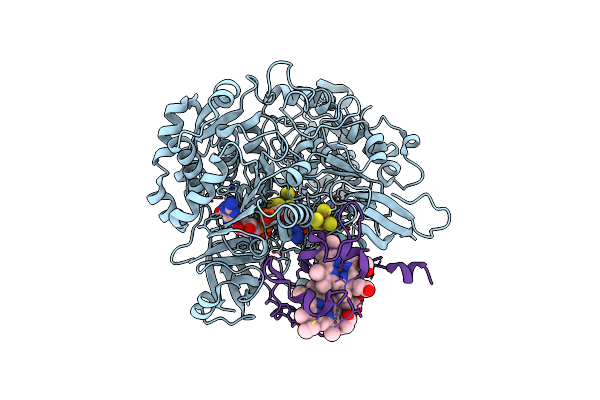 3ML1 image