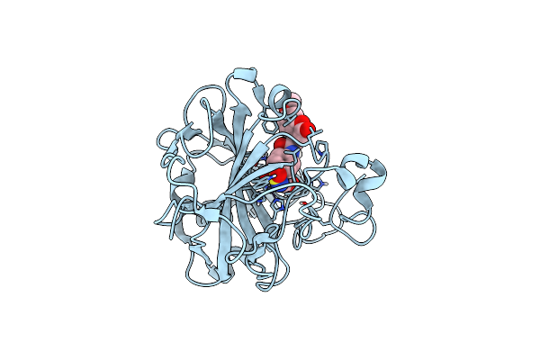 3ML2 image