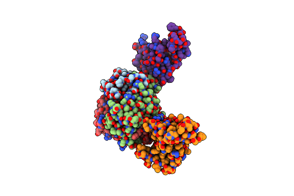 3MLC image