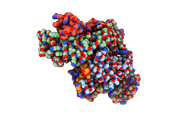 3MLX image