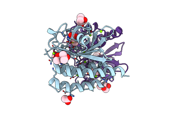 3MMH image