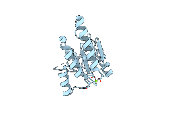 3MMN image