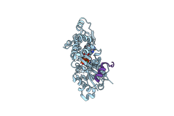 3MMV image