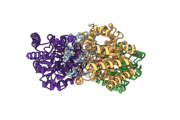 3MMW image