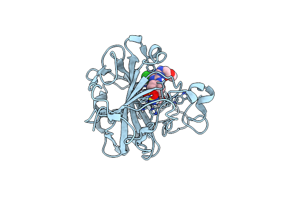 3MNA image