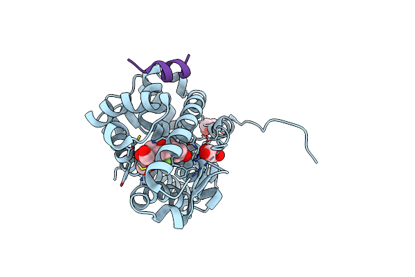 3MNE image