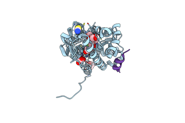 3MNP image