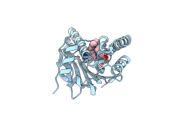 3MNR image