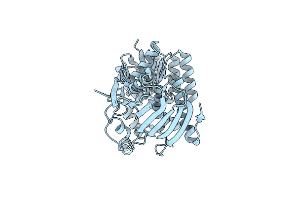 3MOI image