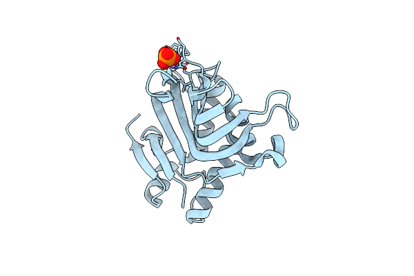 3MOK image
