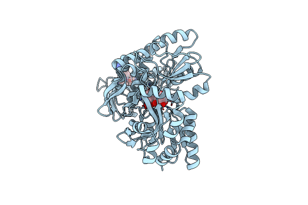 3MP6 image