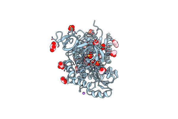 3MP8 image