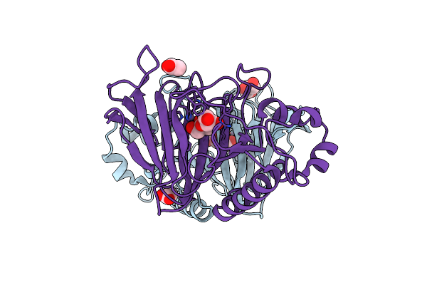 3MPB image