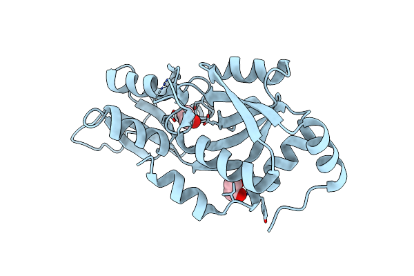 3MPL image