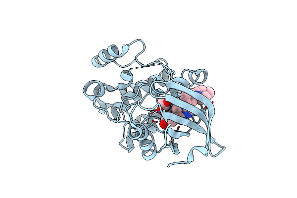 3MPM image