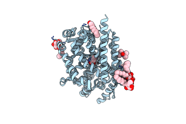 3MPN image