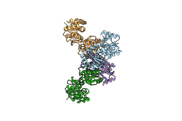 3MPO image