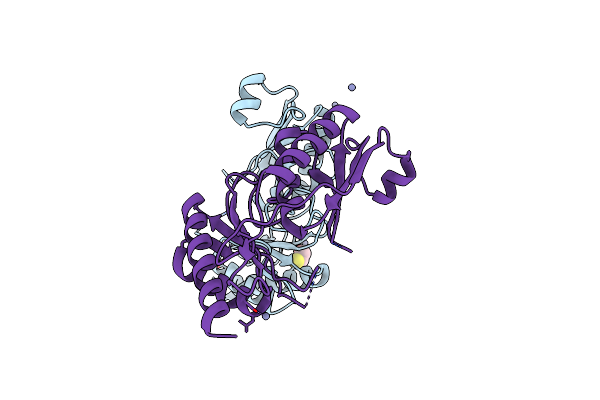 3MPV image