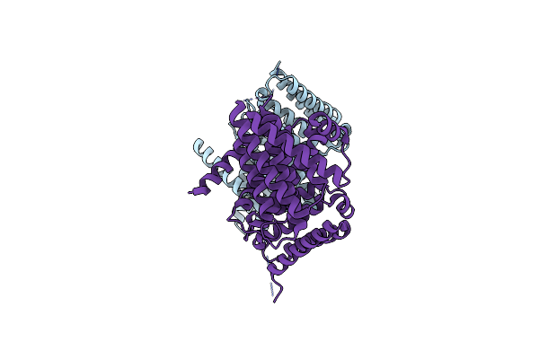 3MSV image