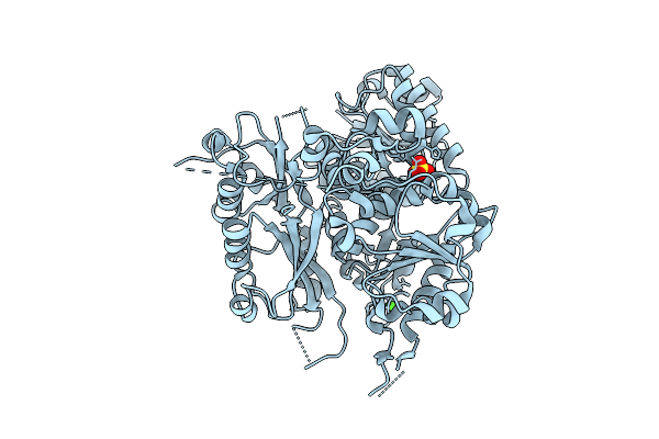 3MT5 image