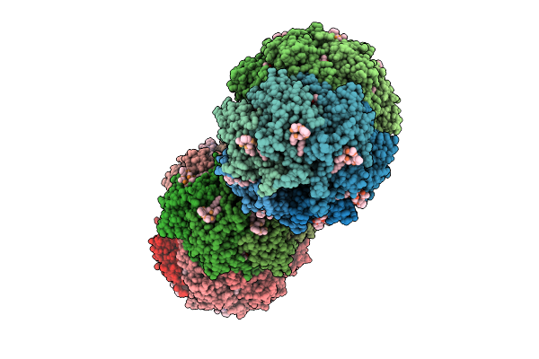 3MT6 image