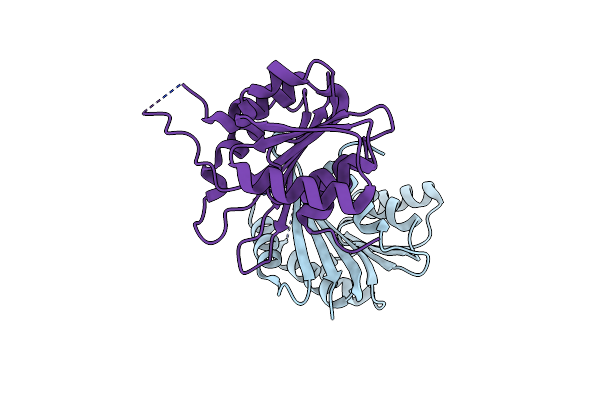 3MTI image