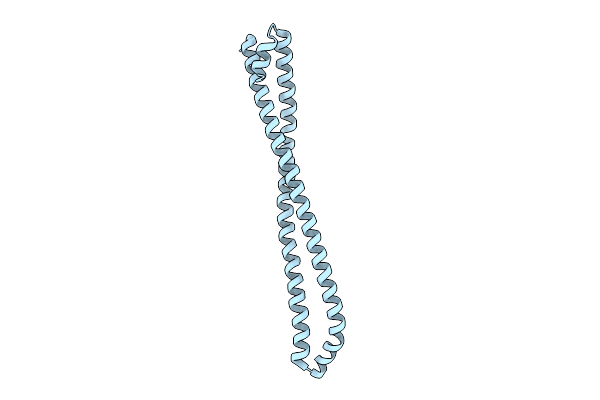 3MTT image
