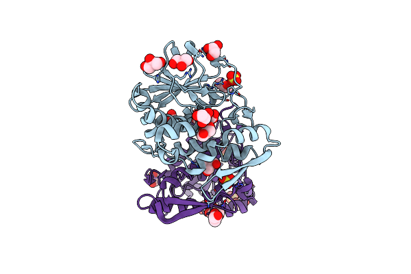 3MVG image