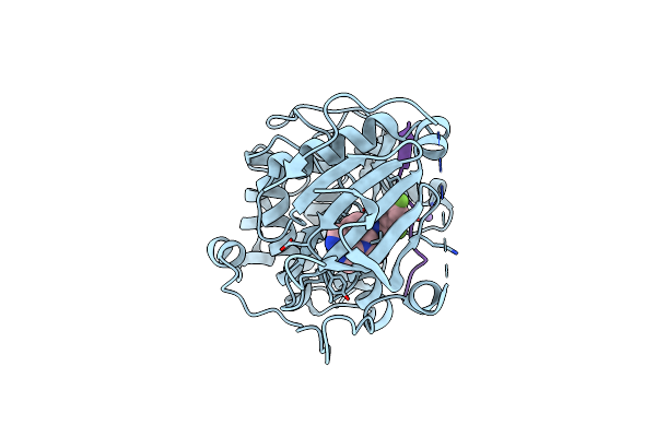 3MVH image