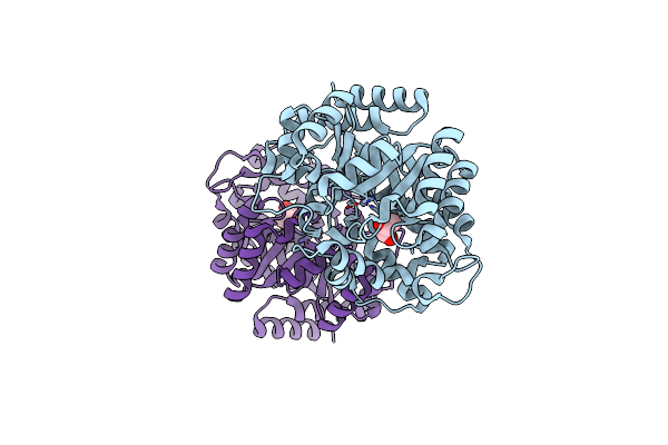 3MVI image