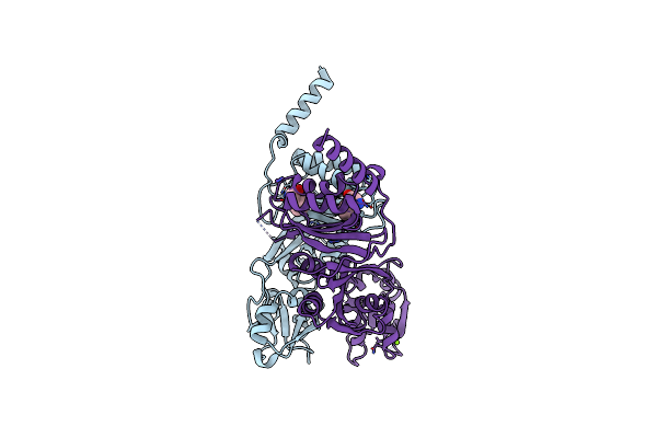 3MWB image