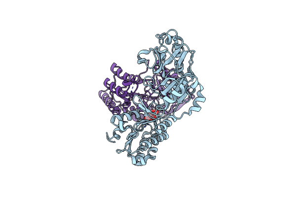 3MWD image