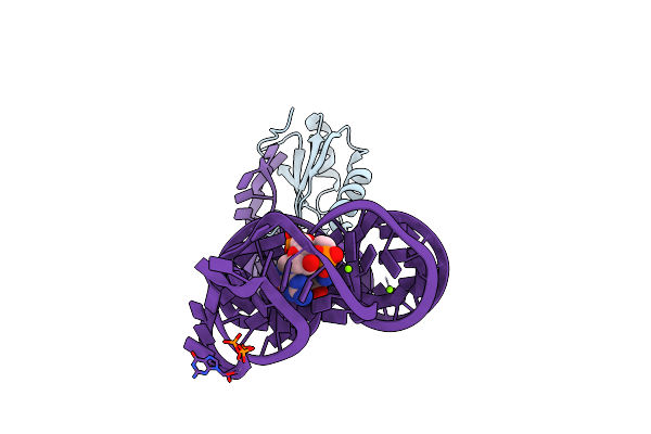 3MXH image