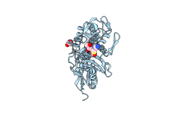 3MZF image