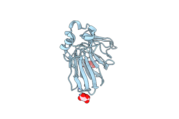 3N02 image