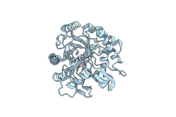 3N1A image