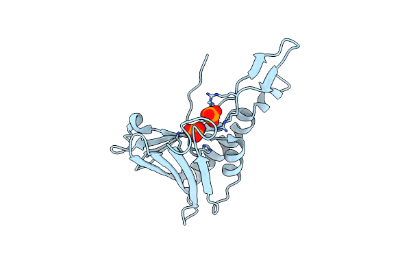 3N1H image
