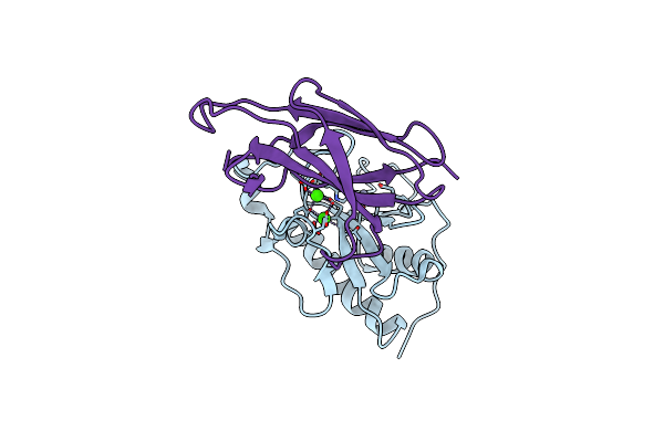 3N1P image
