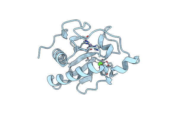 3N1R image