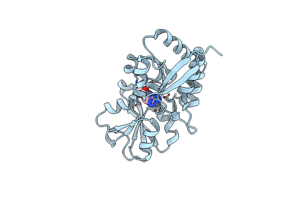3N26 image