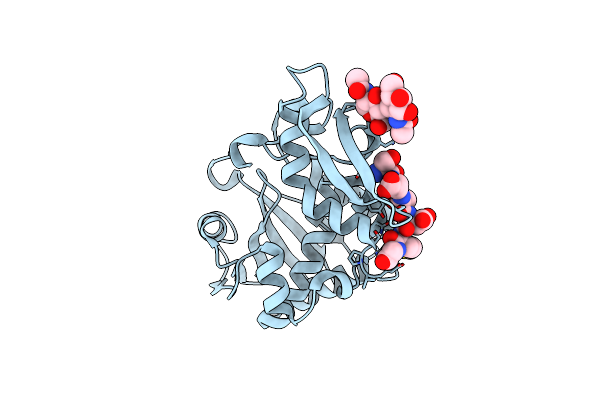 3N2D image