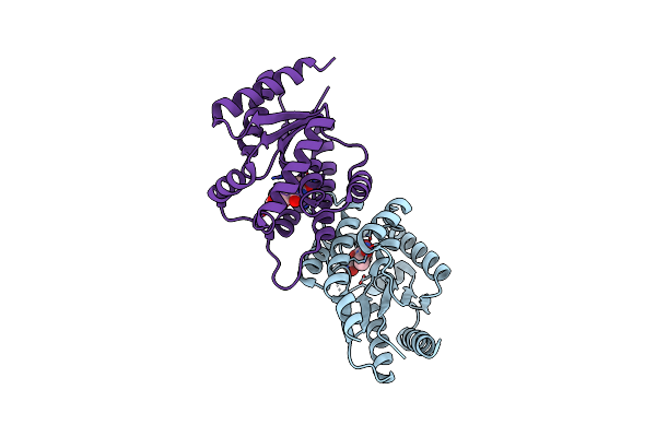 3N2I image