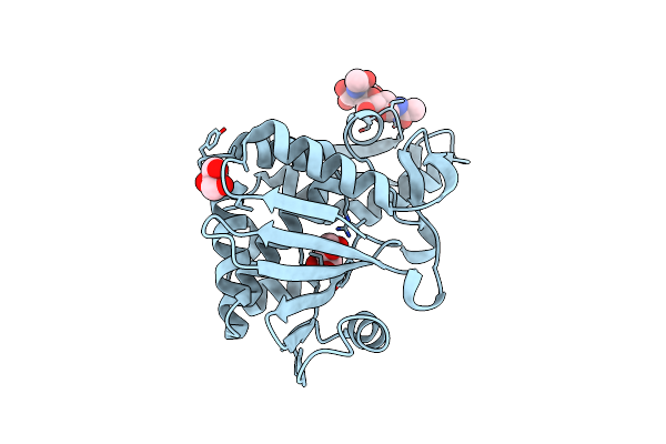 3N31 image