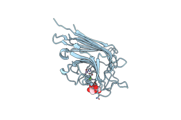 3N36 image